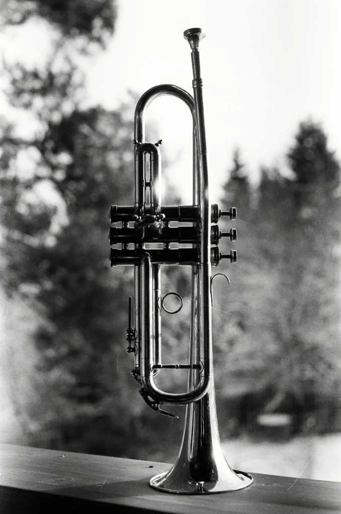 Trubaci Nemacka Orkestar Vranjanci u Nemackoj najugledniji orkestar za sva veselja i proslave