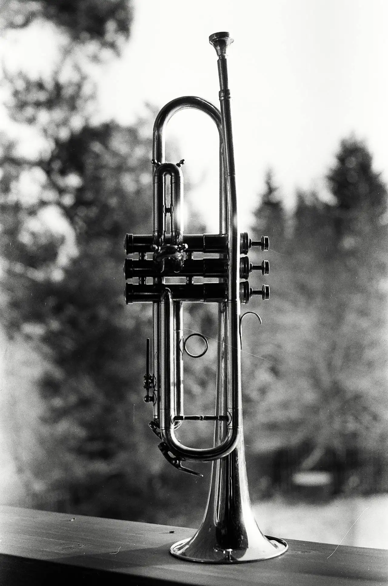 Trubaci Nemacka Orkestar Vranjanci u Nemackoj najugledniji orkestar za sva veselja i proslave